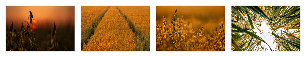 Platz 6 Robert Seitz